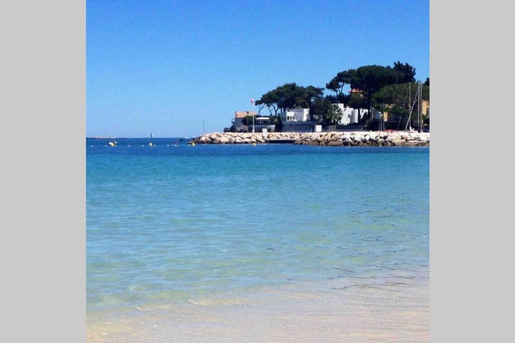 Studio Meuble Proche Plages Et Vieille Ville Antibes Bagian luar foto